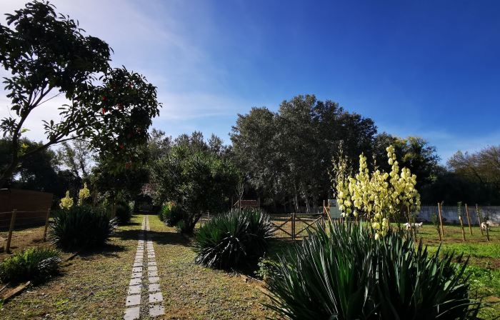 Quinta do Louredo - Évora