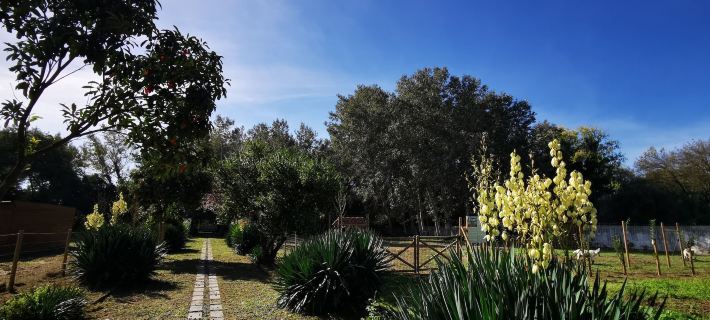 Quinta do Louredo - Évora โรงแรมในแอวูรา