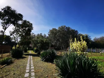 Quinta do Louredo - Évora Hoteles en Canaviais