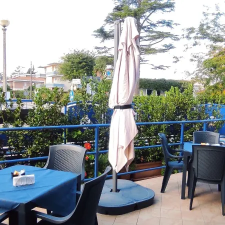 Coccinella