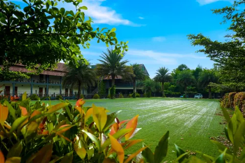 Fern Tree Resort - Wi-Fi