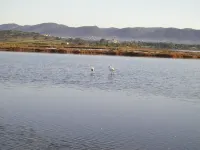 Beautiful house in a holiday village 2 km. From Porto Pino