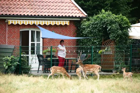 4-star disabled-friendly non-smoking apartment; pets on request