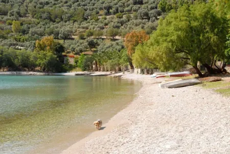 Open Your Door On The Beach! - Private Beach Home Отели рядом с достопримечательностью «fountain of Styra»