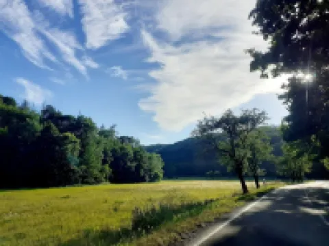 Talblick 1 - Your home: the vacation home in the middle of the idyllic valley