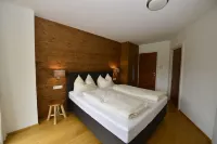 Modern, cozy apartment near the Steinbergbahn - Ski in /out - Bike in /out