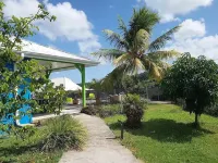 Villa F3 in the heart of the island, with swimming pool and Creole garden