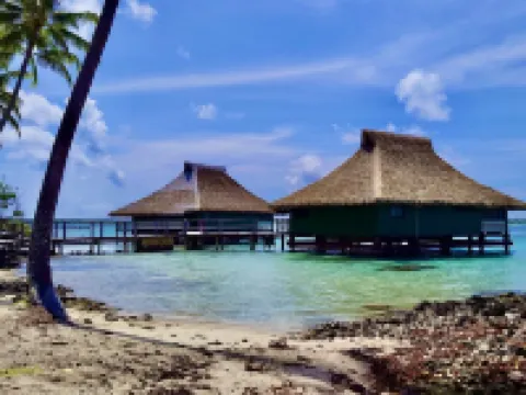 Over Water Hideaway in Bora Bora! Marlon's World Famous Over Water Hideaway!! Hoteles en Bora Bora