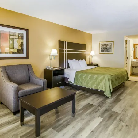 Quality Inn Stone Mountain