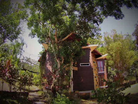 Pool, Sauna, Hot Tub, Fruit Trees, Lush Gardens