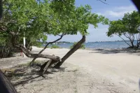 OBLSA # 441  2Bed/2Bath Hotels in Utila