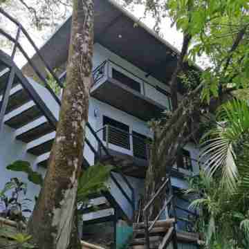 Walk to Beach! Hotel Exterior