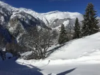 Luxury chalet (about 250 sqm) - built in 2016 - Grächen (Valais) / near Zermatt