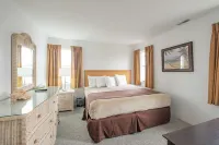 AA 하트 오브 와일드우드