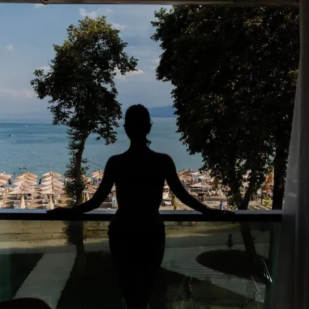 Hotel Drim