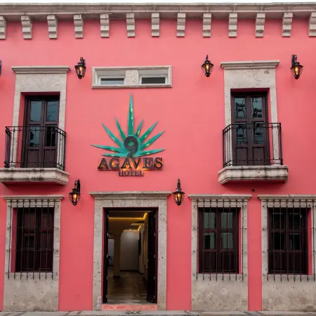 Hotel Nueve Agaves