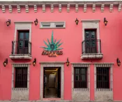 Hotel Nueve Agaves