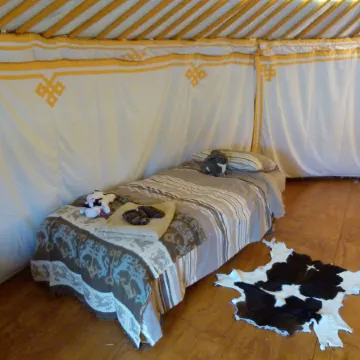 Wacky Stays - Unique Farm-Stay Glamping Rentals, Free Animal Feeding Tours