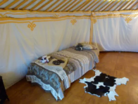 Wacky Stays - Unique Farm-Stay Glamping Rentals, Free Animal Feeding Tours