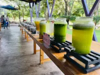 Rancho Macloy Hotel Spa & Social Events - Pet friendly