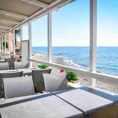 Hôtel restaurant le Torremare Dining/Meeting Rooms