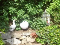 Landhaus Krone - Pet-friendly