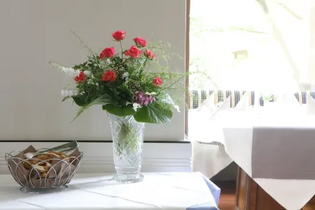 Hotel Villa Brenner Отели в г. Гроскарлбах