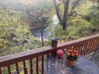 Rustic two bedroom cottage on riverside in Shohola PA