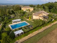 Vineyard View