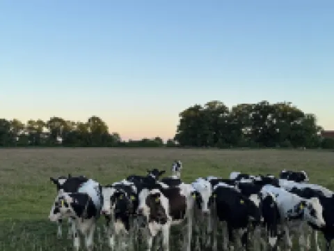 Apartment Siebenbergen - cozy, modern apartment in East Frisia Leer レーアのホテル