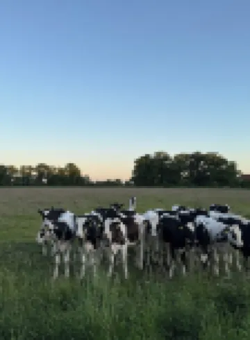 Apartment Siebenbergen - cozy, modern apartment in East Frisia Leer Hotels in Leer