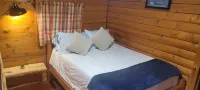 Texarkana Koa Journey