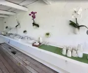 Casa Morada Hotels in Islamorada