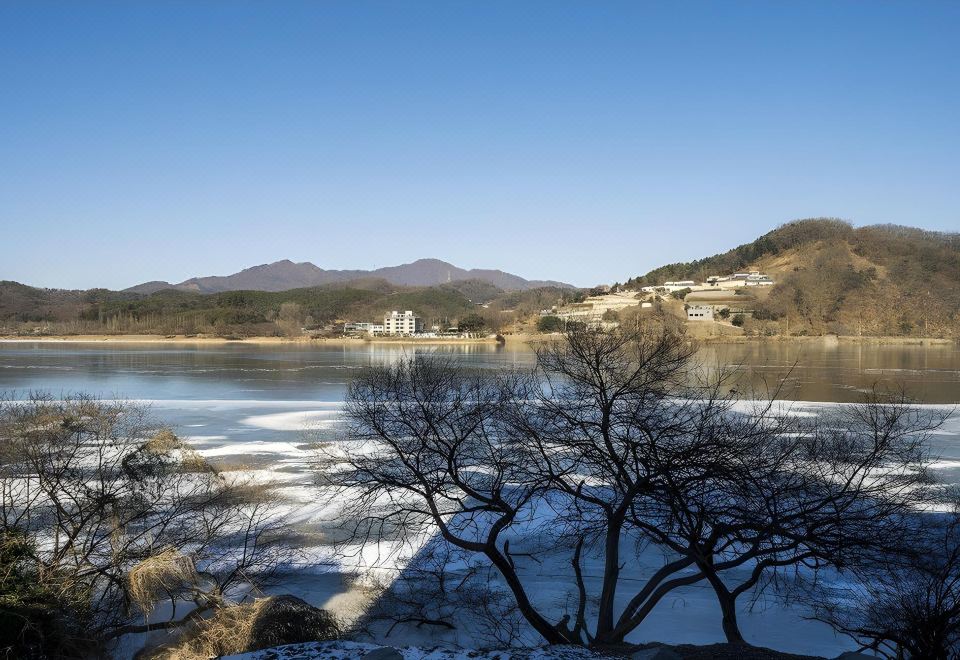 2. 양평 더라인 드..