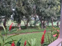 Aloha! The North Shore of Kauai awaits in this amazing, centrally located Condo!