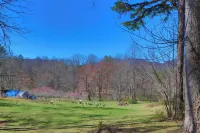 Smoky Mountain Getaway. Enjoy Seclusion,Views,Motorcycling, Shops w Paved Access