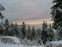 Vacation home "Green Emotion"