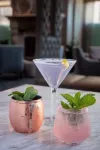Hilton Chicago - bar