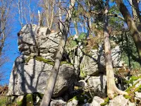 Vacation apartment in idyllic Matting on the Danube. Hotels in Pentling