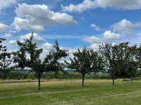 House overlooking the valley in Perche Sarthois Hotels in Villaines-la-Gonais