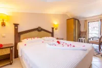 Villa Emel Paradise Private Pool A C Wifi Car Not Required Eco-Friendly - 2232