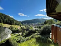 Top View Apartment Todtmoos Hotels in Todtmoos