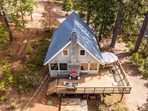 Forest Cabin w/Fireplaces + Kids Sledding Hill!