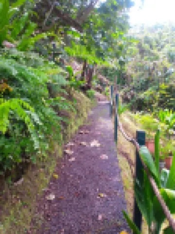 Logement en bas de Villa, au Milieu de la Végétation, Avec Belles Vues Hotels in Punaauia