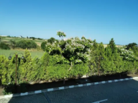 Cozy 1-bedroom Apartment with Pool