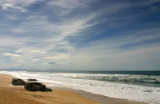 Cosy Forrest Cabin near the Beach