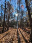 Little Can in the Pines - Bunkie No. 1
