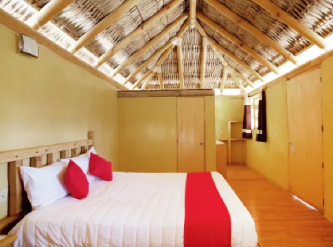 Hotel Villa Xtreme Hotels in 