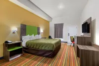 Quality Inn & Suites Hotels in Elgin