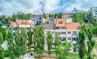 Gin 3-Bedroom Apartment in Mzaar